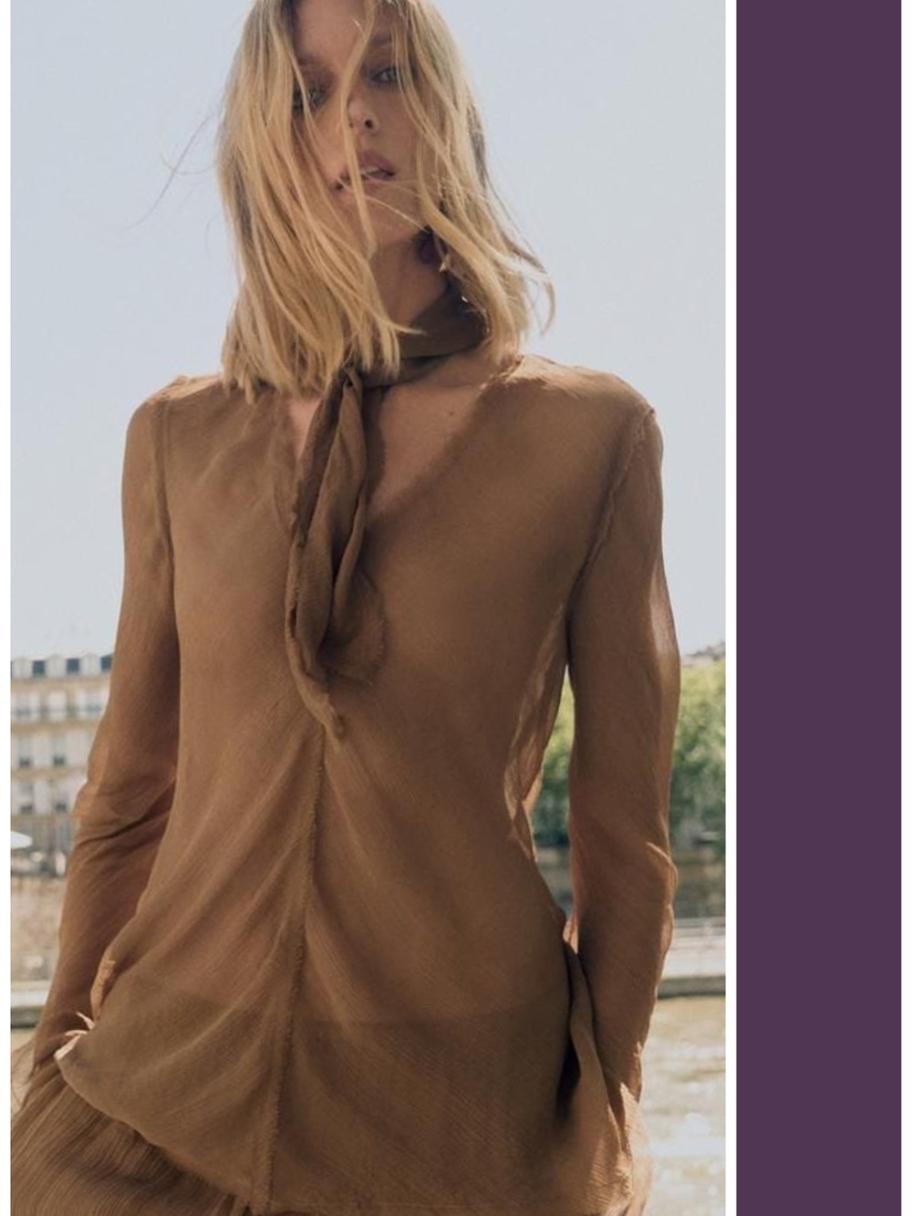 ZARA Brown Semi-Sheer Chiffon Long Sleeve Tie Neck Blouse XS NWOT Coastal